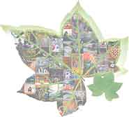 Leaf logo with artwork embedded in the background.