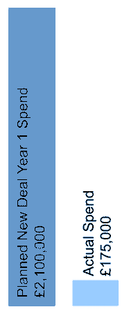Graph showing the N.D.C. planned year 1 spend (&pound;2,100,000) and actual spend (&pound;175,000).