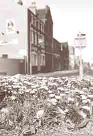 Flowers in Burngreave.