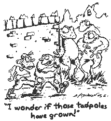 Cartoon: Troublesome kids walking along, "I wonder if those tadpoles have grown!". Unknown to them, they have - into six foot giant frogs, hiding in wait behind a wall!