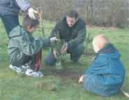 Children start planting small trees.