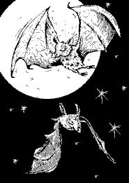 Cartoon illustraton of bats.