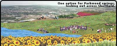 One option for Parkwood springs, looking out across Sheffield.