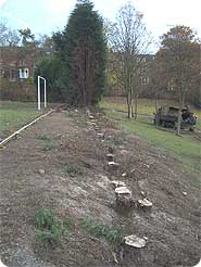 The leylandii hedge which divides the park have been removed.