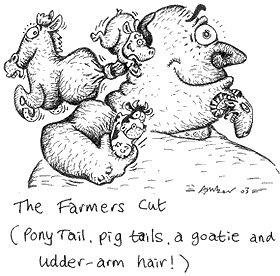 Cartoon: The Farmers Cut (Pony Tail, Pig Tails, a Goatie and Udder-arm Hair!)